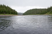 река Стрельна, часть вторая. фото 8