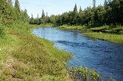 Верхняя Часть Стрельны. фото 1