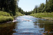 Верхняя Часть Стрельны. фото 6