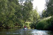 Верхняя Часть Стрельны. фото 19