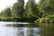 Верхняя Часть Стрельны. фото 26