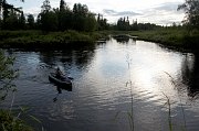 Верхняя Часть Стрельны. фото 28